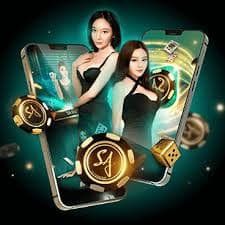 zc777com Standard Blackjack